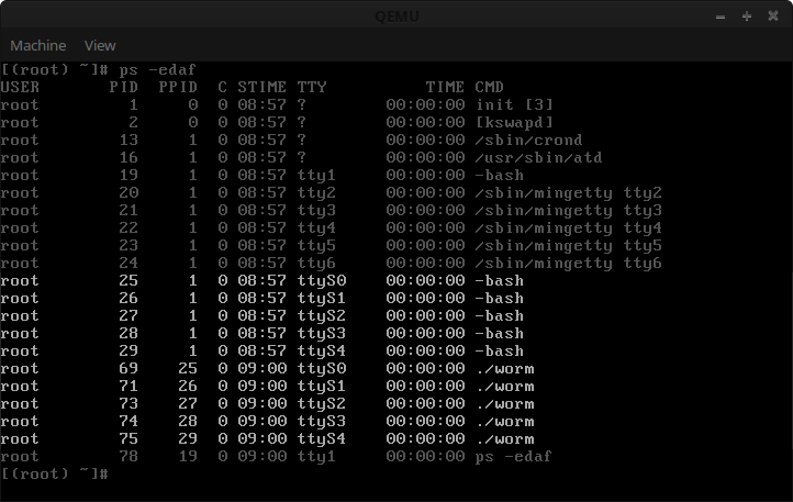 Process list with 5 worms running